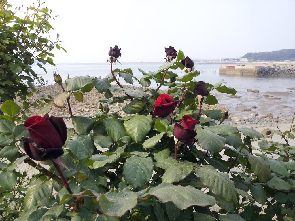 Yongdu Beach Pension โพเรียง ภายนอก รูปภาพ